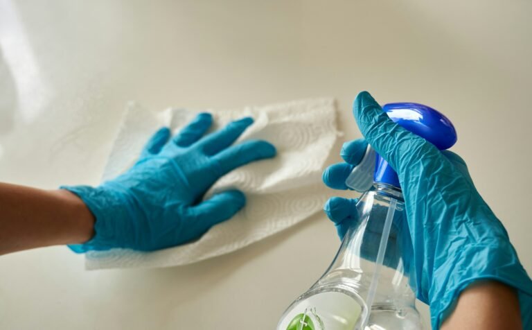 Top Cleaning Services in Richmond VA